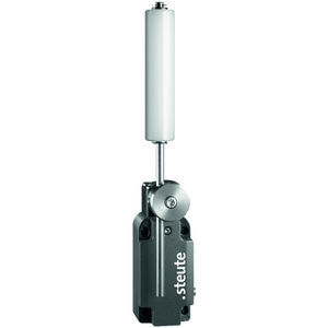 adjustable switch