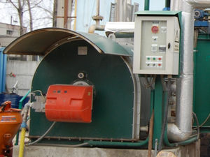 thermal fluid boiler