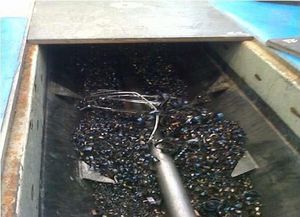 screw conveyor