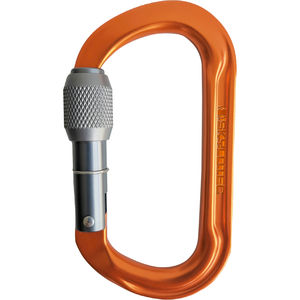 locking carabiner 1