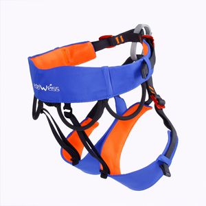 fall-arrest harness