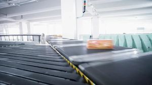 flexible conveyor belt 1