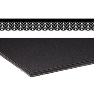 continuous conveyor belt 1