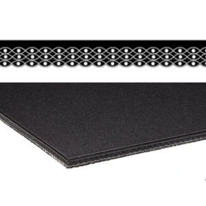 continuous conveyor belt 1