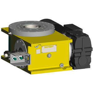 globoidal cam indexer