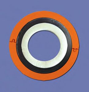 lipped seal