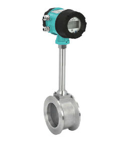 vortex flowmeter 1