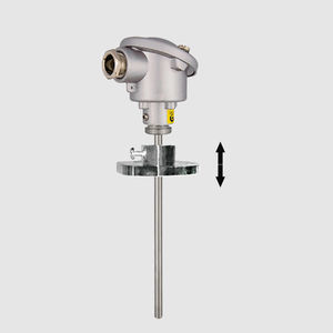 Pt100 temperature probe 1
