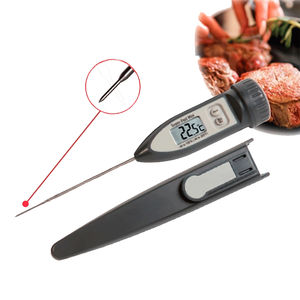 probe thermometer 1