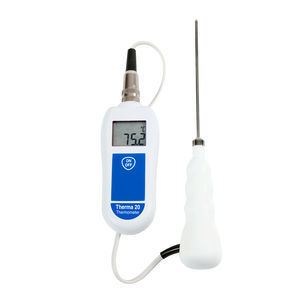 thermistor thermometer 1