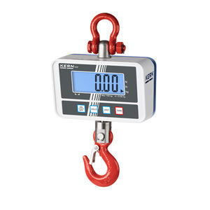 digital crane scale