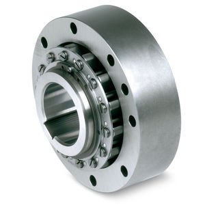 bearing backstop / overrunning clutch
