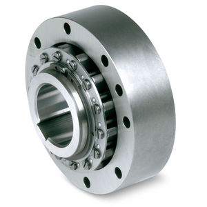 bearing backstop / overrunning clutch