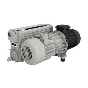 rotary vane vacuum pump 1
