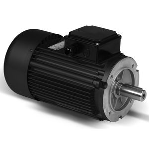 three-phase motor