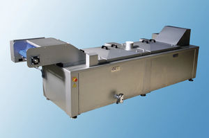 pasteurizer for the food industry