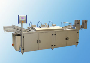 continuous industrial fryer