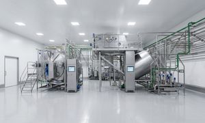 curd cheese production line 1