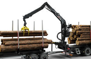 swing-arm log loader 1