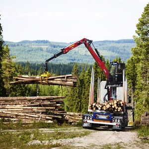 swing-arm log loader