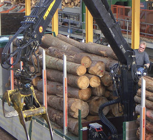 swing-arm log loader