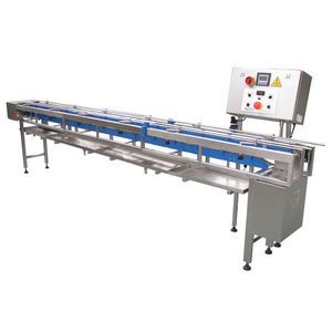 chain conveyor