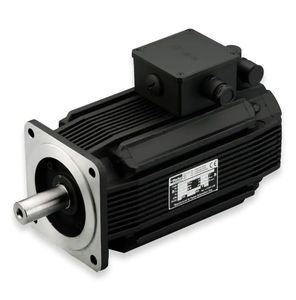 AC servomotor