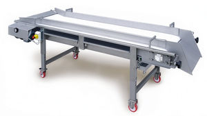 belt conveyor