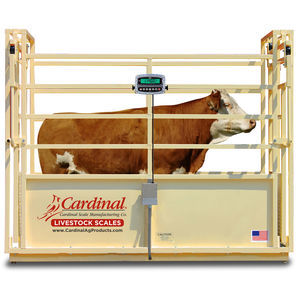 livestock scale