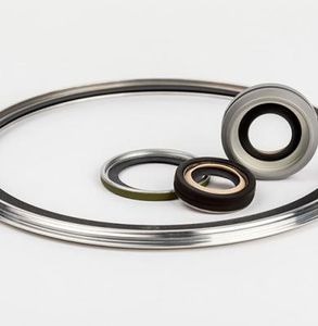 lip seal / polymer / shaft