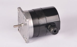 AC motor