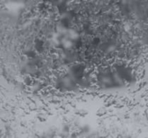 lubricant fluid 1