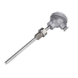 装Pt100温度探测器