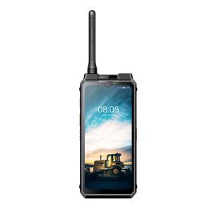 WiFi telephone 1