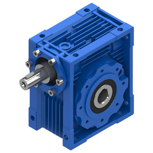 worm gear reducer