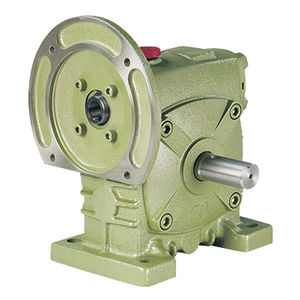 worm gear reducer