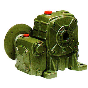 worm gear reducer