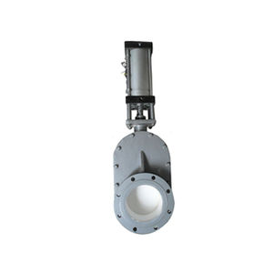 gate valve
