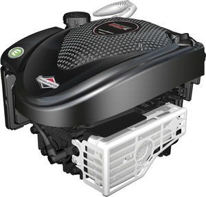 gasoline engine