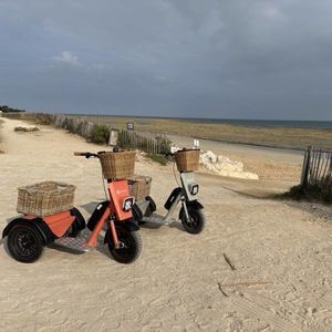 handling electric scooter 1