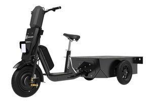 cargo tricycle 1