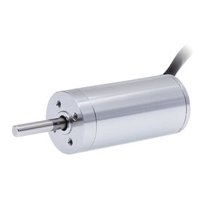 brushless motor
