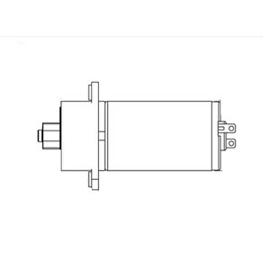 DC gear-motor