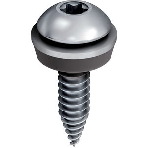 fastening screw 1
