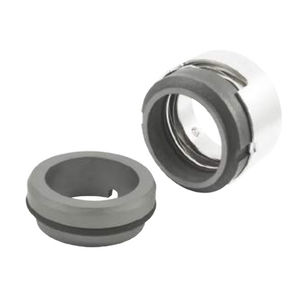 spring mechanical seal 1