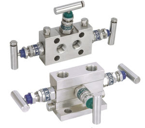 5-way manifold