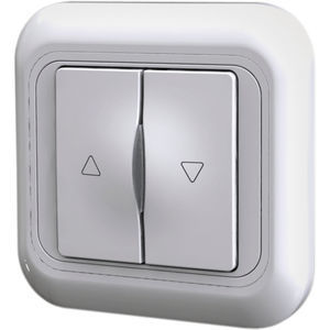 manual switch 1