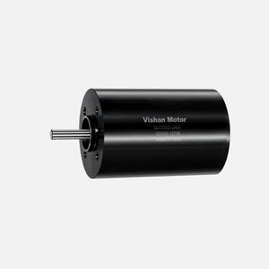 brushless motor