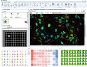 analysis software