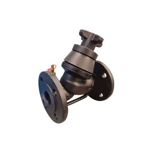 globe valve 1